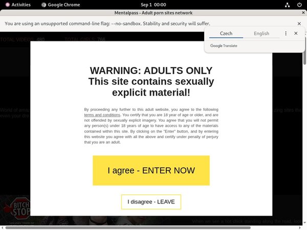 Account Premium Com Mentalpass
