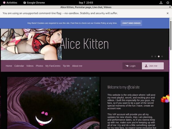 AliceKitten Coupon Deal