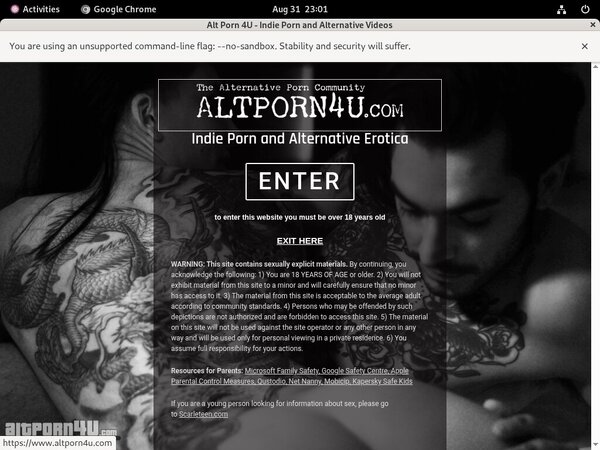 Alt Porn 4 U Accounts Passwords