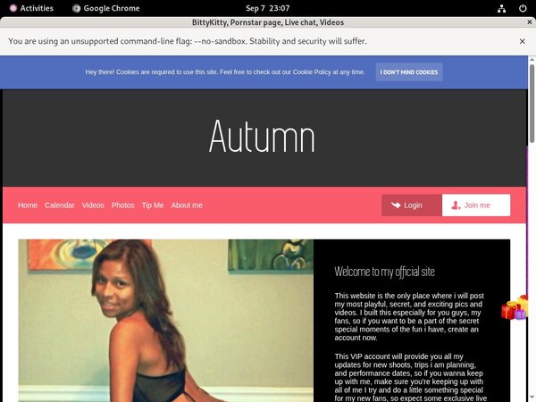 BittyKitty Login Free