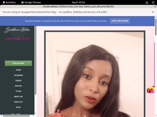 Bossy Robin Using Paypal