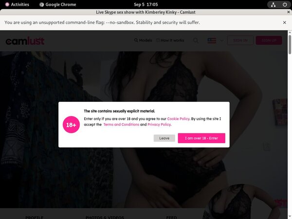 Camlust.com Passwords 2016