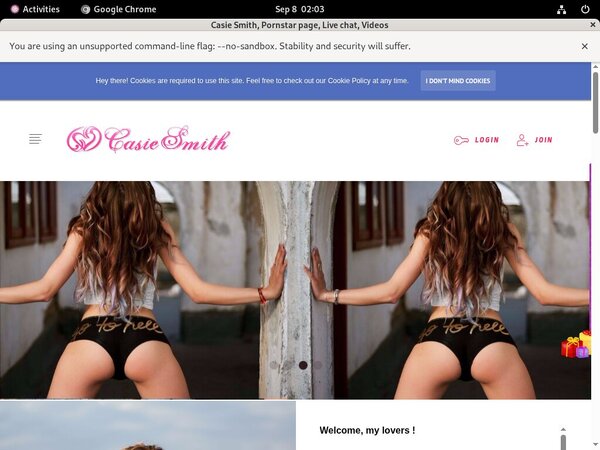Casiesmith.modelcentro.com Login Info