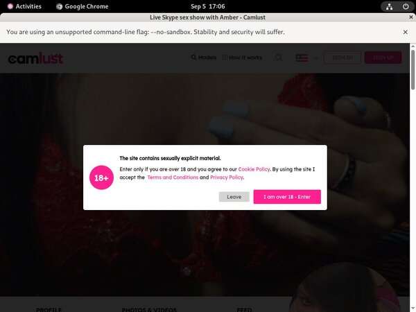 Com Camlust Free Premium Account