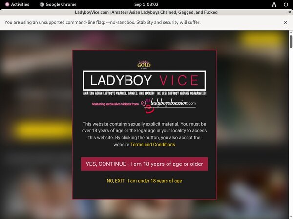 Discount On Ladyboy Vice