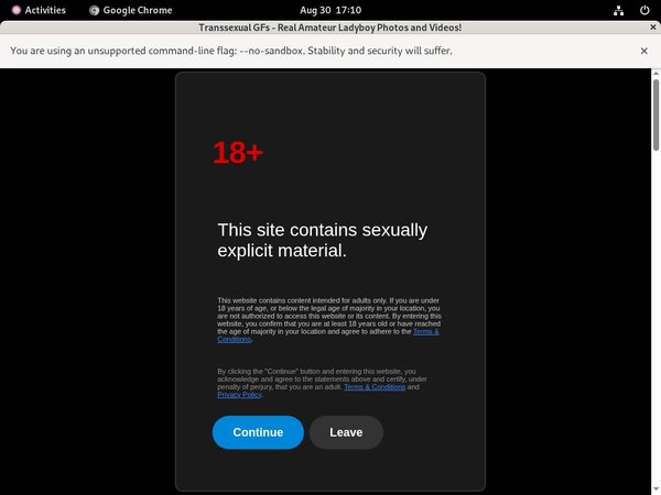 Discount Transsexualgfs.com 70% OFF