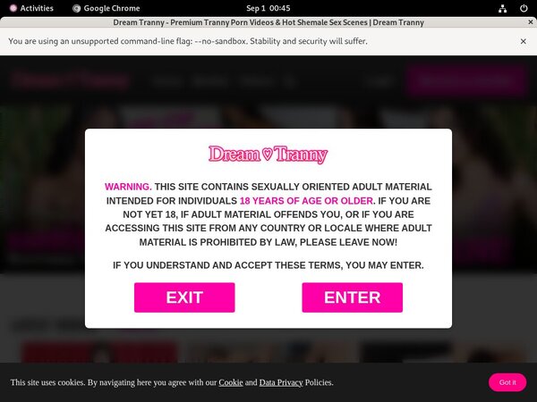 Dreamtranny Discount Tour