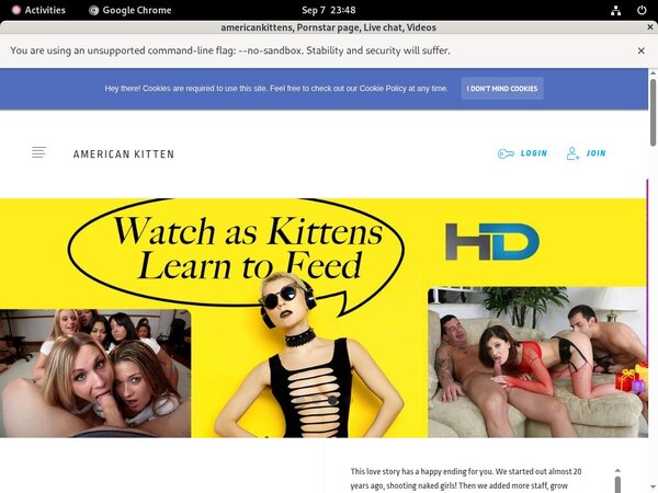 Free Americankittens Premium Account Free Americankittens Premium Account