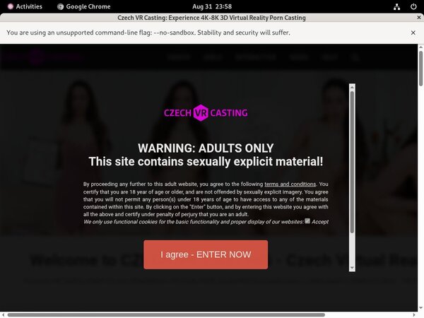 Free Czech VR Casting User