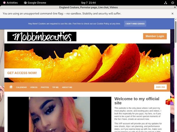 Free Pass For Englandcouture.modelcentro.com