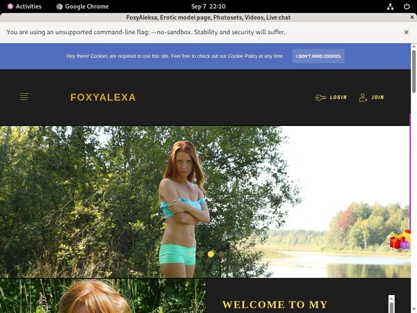 Free Password FoxyAleksa