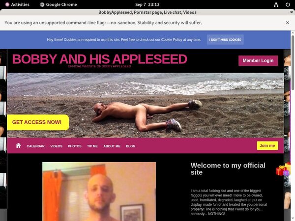 Free Password To Bobbyappleseed