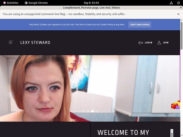 Free Password To LexxySteward