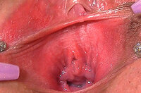 Gapemypussy.com Chat s3 Gapemypussy.com Chat s3