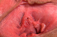 Gapemypussy.com Gay Porn s2