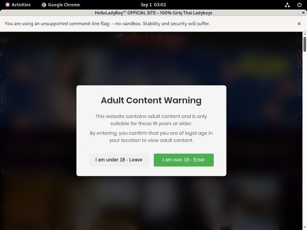 Helloladyboy.com Toilet