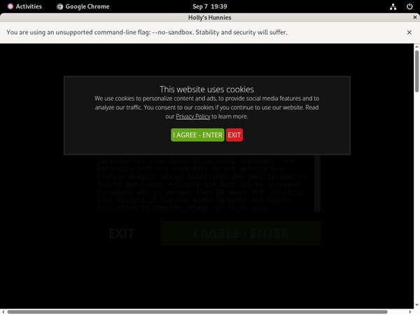 Hollyshunnies Working Account