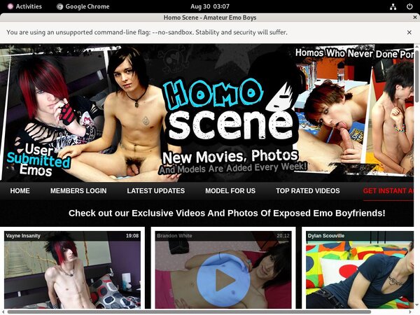 Homoscene.com Sex Movies