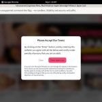 JapanLust Discount Site