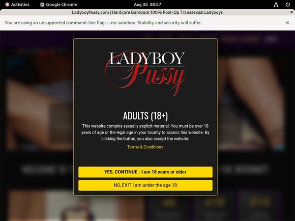 Ladyboy Pussy Discount Paypal