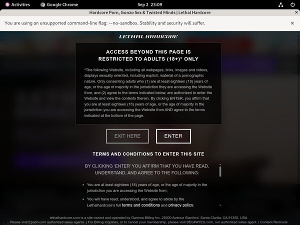 Lethal Hardcore Jpost