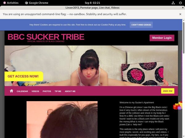 Linxer2013 Limited Offer