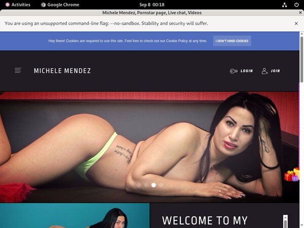 Michele Mendez 2017