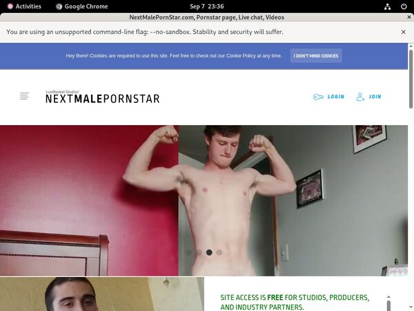 Nextmalepornstar.com Ccbillpay