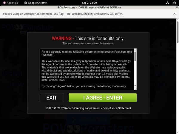 POV Pornstars Checkout Page