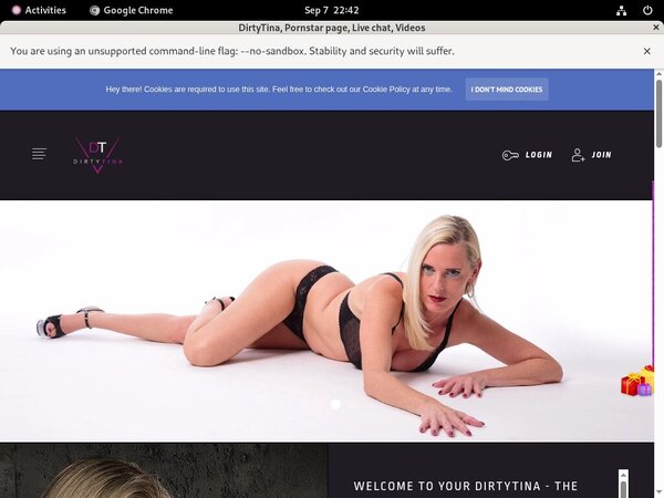 Paypal DirtyTina Com