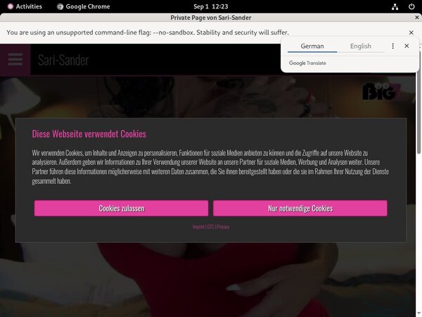 Sari Sander Discount Free Trial
