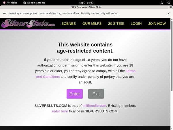 Silver Sluts Promo Trial