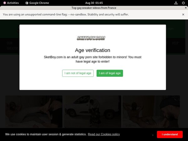 Sketboy.com Account Logins