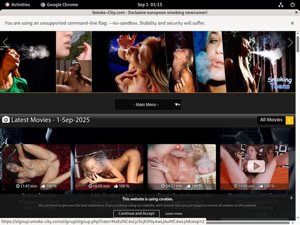 Smokecity Gallaries