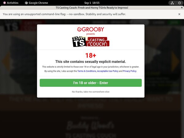 TS Casting Couch Free Trial Link