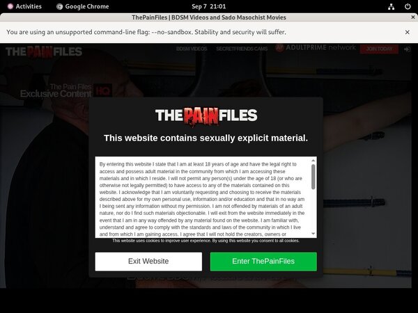 Thepainfiles.com Net
