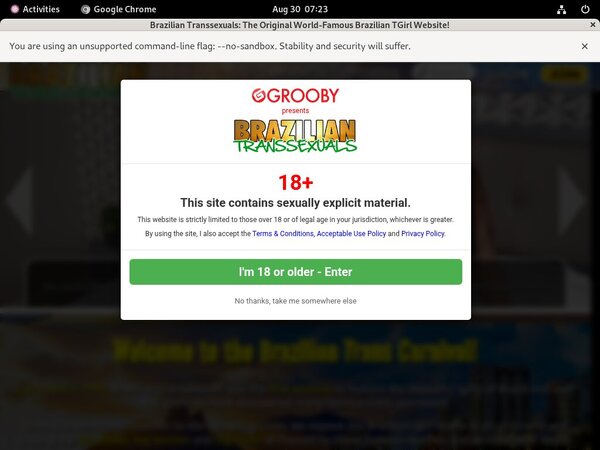 Transsexualsbrazilian Free Accounts