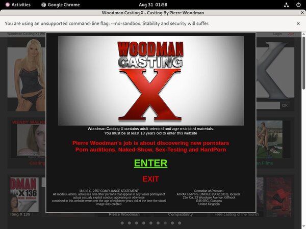 Woodman Casting X Vendo Page