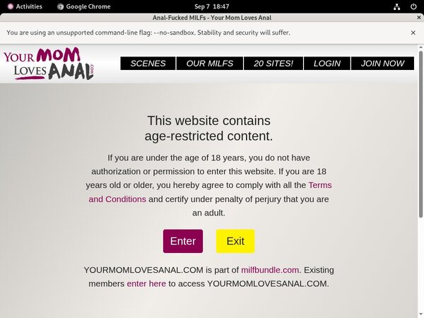 Yourmomlovesanal.com Coupon Discount