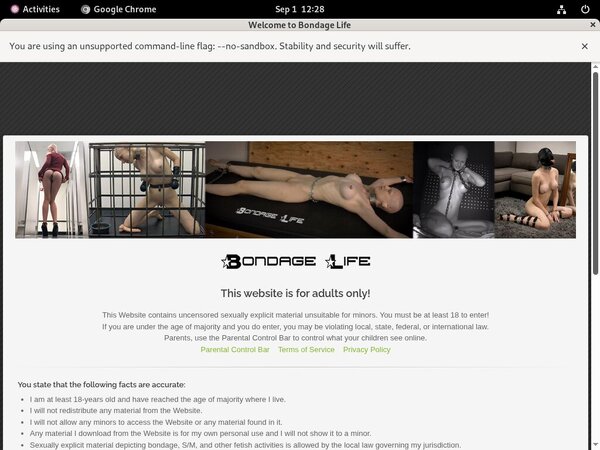 Bondage Life Porn Stars