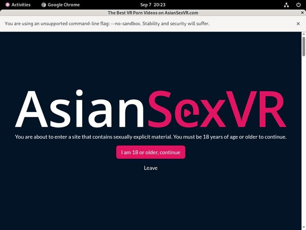 Asian VR Sex Save