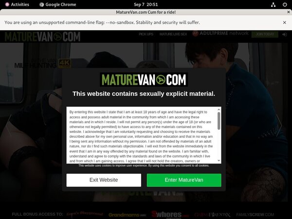 Mature Van Gay Sex